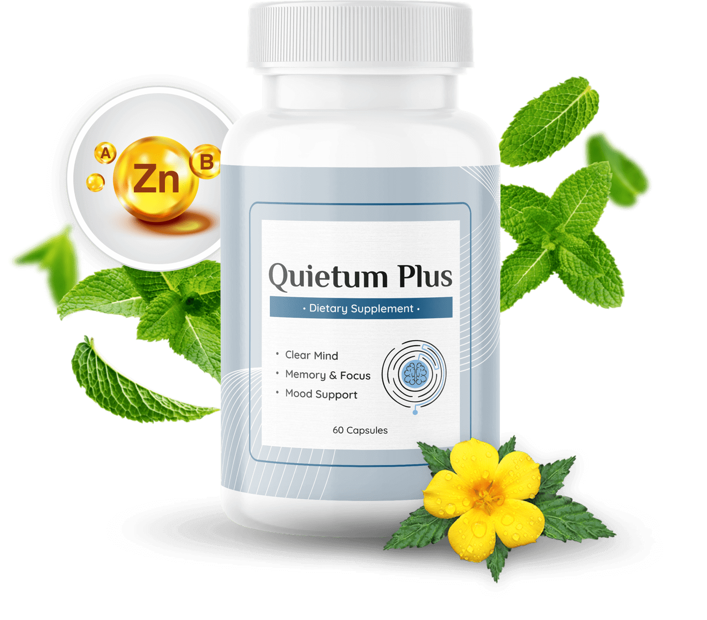 Quietum Plus review